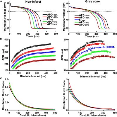 Sensitivity of Ablation Targets Prediction to Electrophysiological Parameter Variability in Image-Based Computational Models of Ventricular Tachycardia in Post-infarction Patients